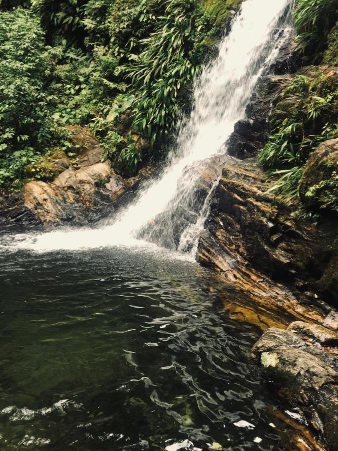ホテル Aldeia De Camburi カンブリ エクステリア 写真