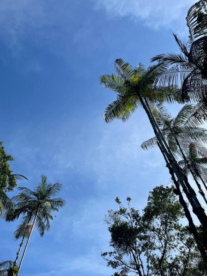 ホテル Aldeia De Camburi カンブリ エクステリア 写真