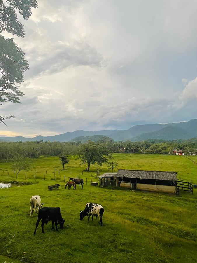 ホテル Aldeia De Camburi カンブリ エクステリア 写真
